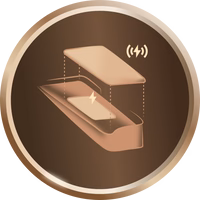 Wireless Charger