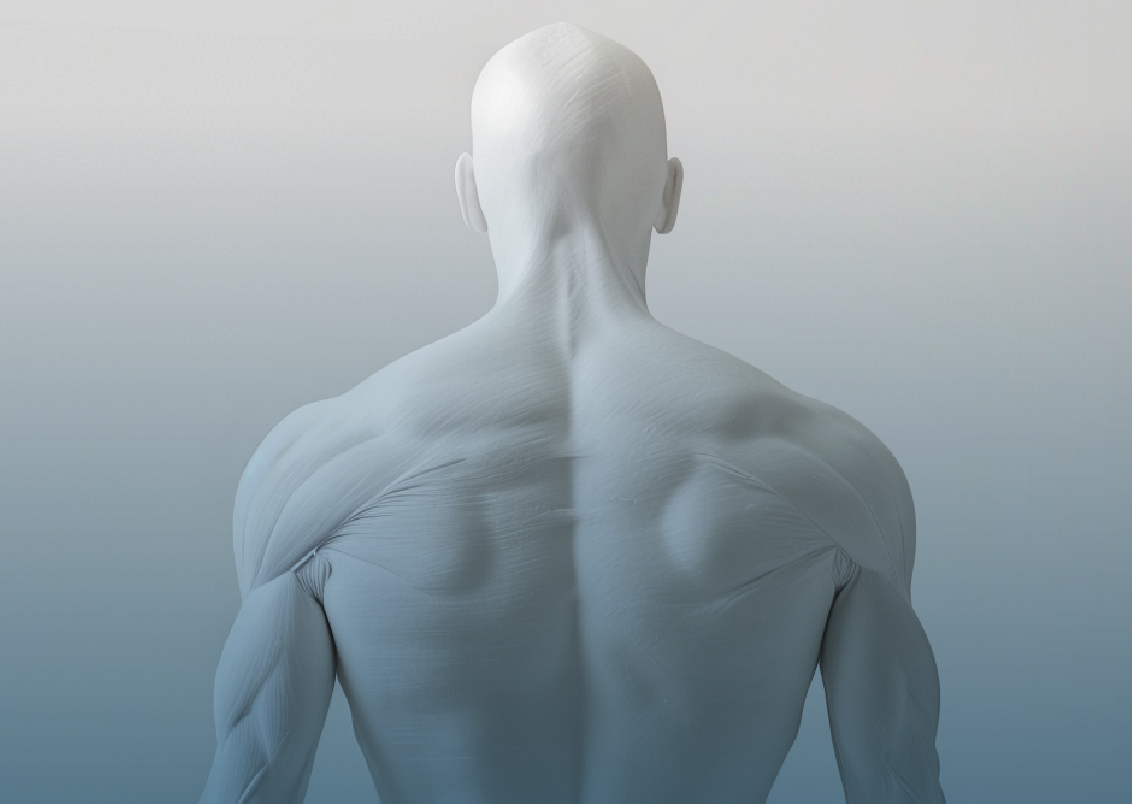 BODY-SHAPE-MEASUREMENT-AI-DOUBLE-SENSING